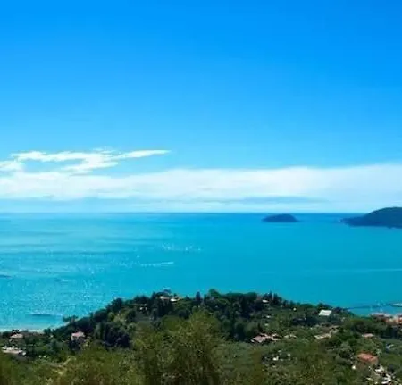 Ca Mary